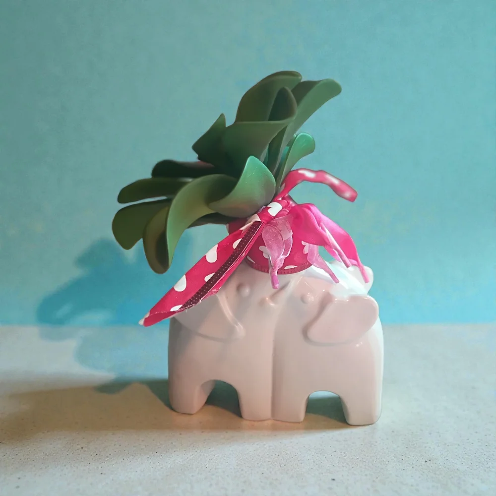 White Elephant Planter with Green Succulent